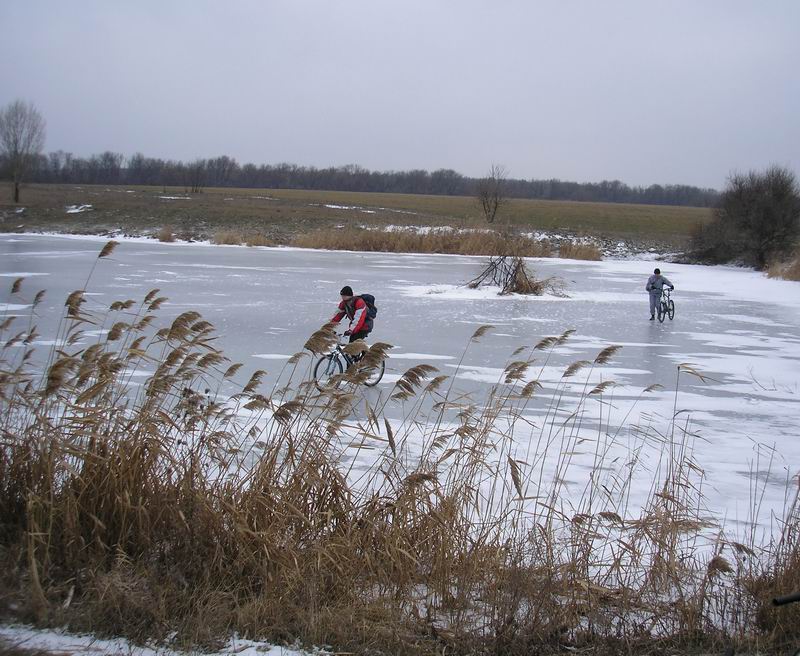 12 - На ставке.JPG