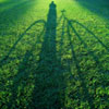 bicycle_grass.jpg