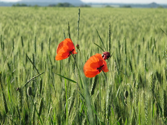 02_С чего начинается тайна.jpg