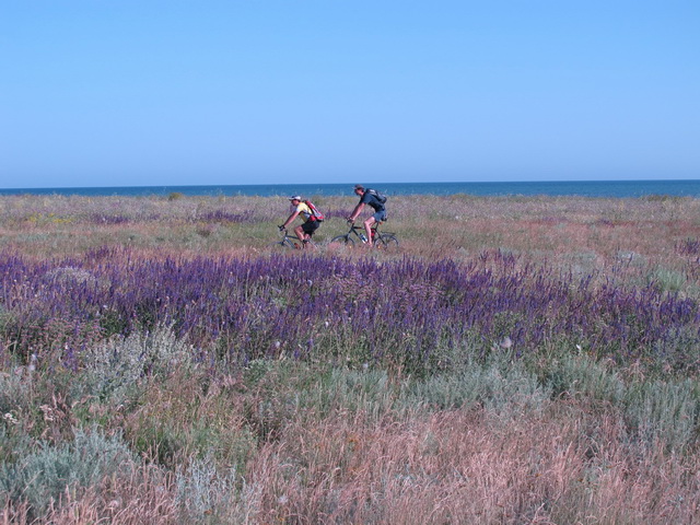 Идиллическая дорога.jpg