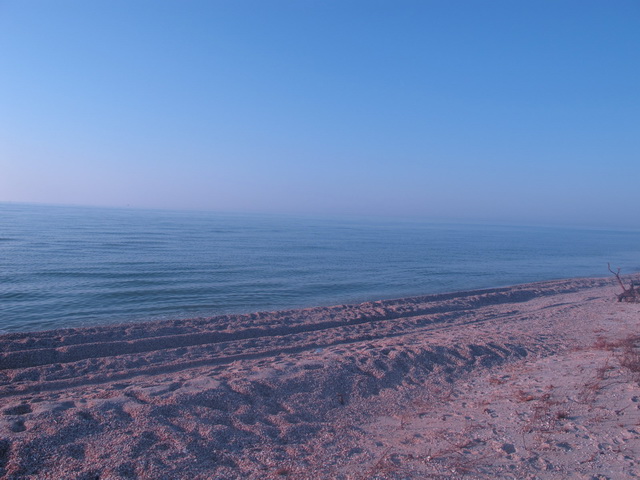 От синего к синему.jpg