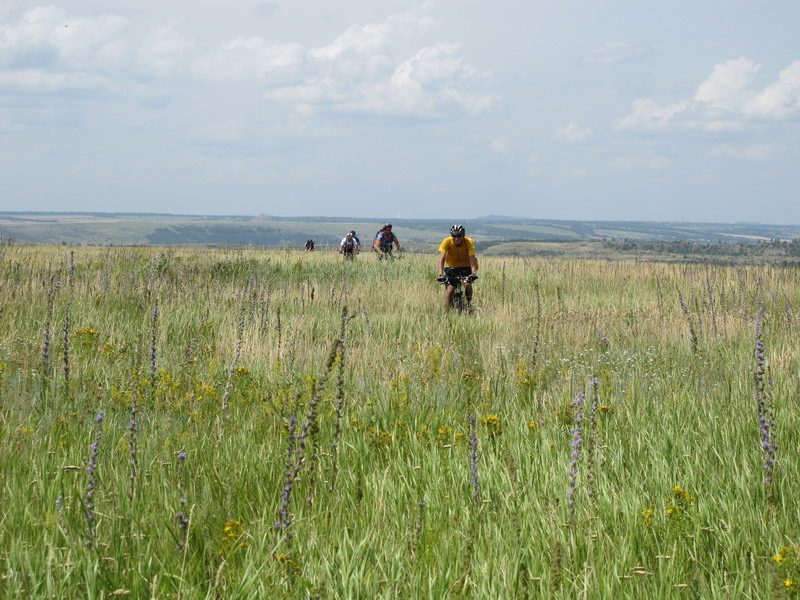 Вышли в степь донецкую.jpg