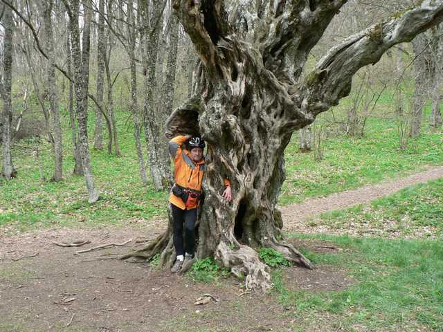 караби 024.jpg