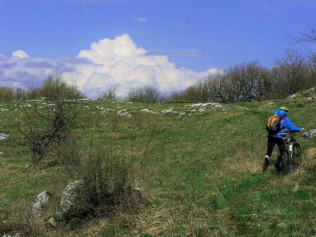 караби 383.jpg