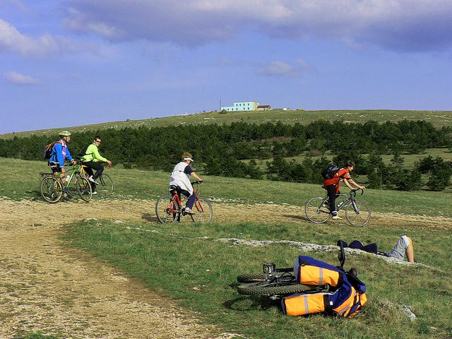 караби 315.jpg