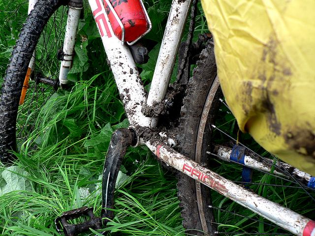 караби 393.jpg