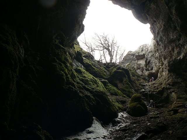 караби 196.jpg