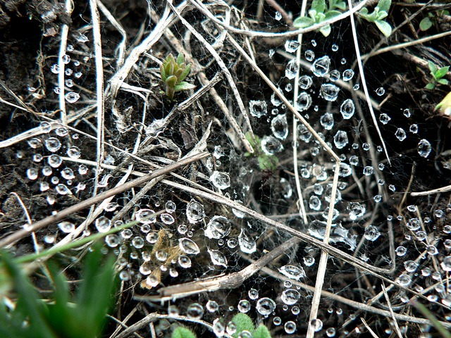 караби 186.jpg