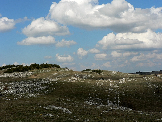 караби 222.jpg