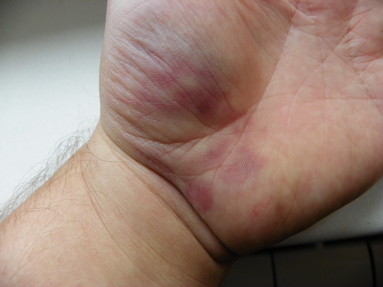 100_0623 (1280 x 960).jpg