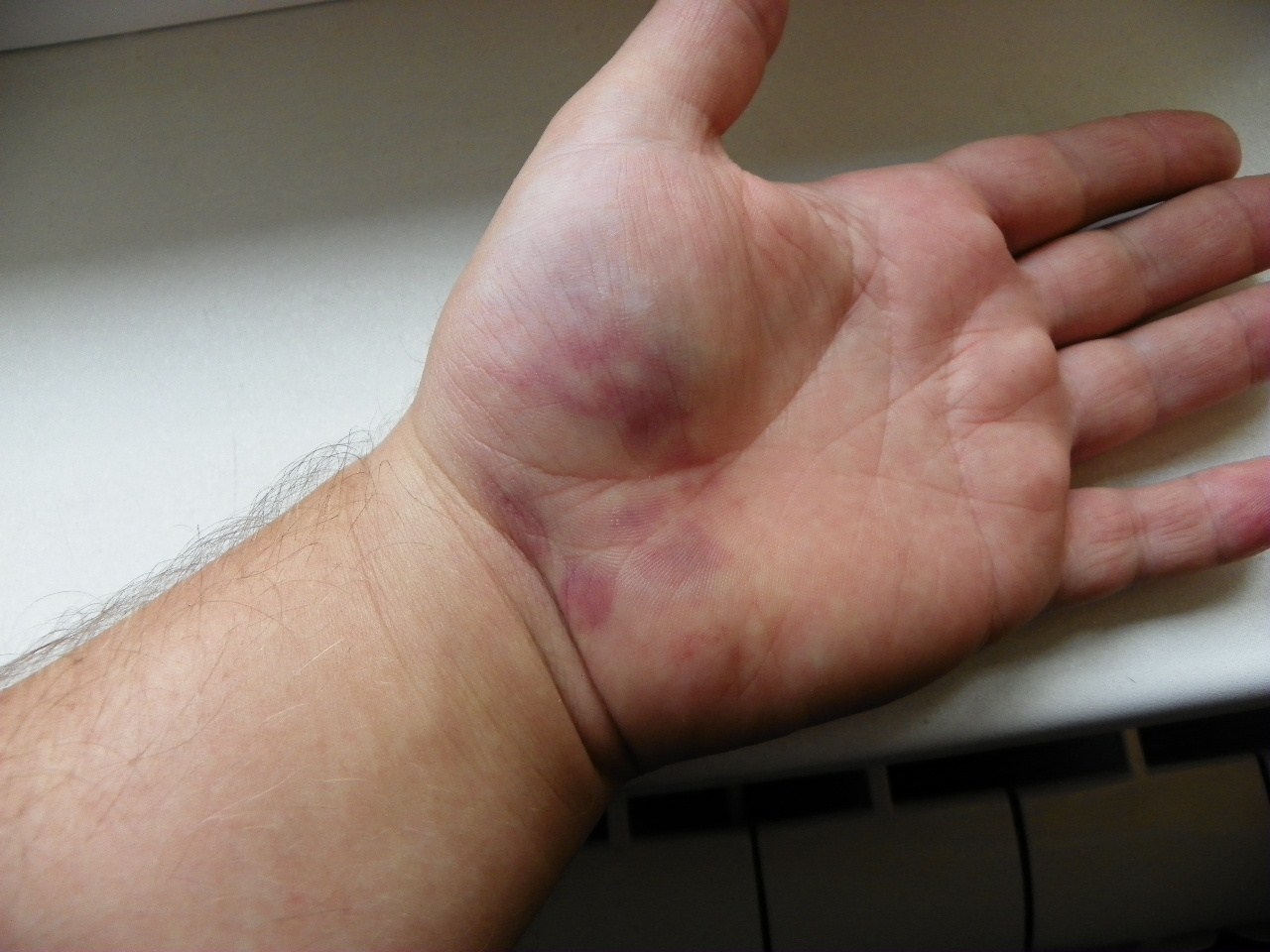 100_0624 (1280 x 960).jpg