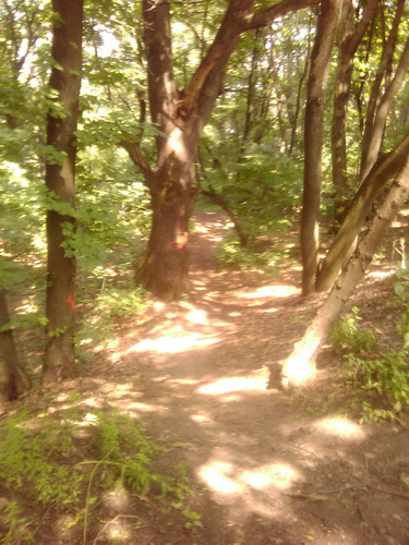 2011-07-10 14.38.21_новый размер.jpg