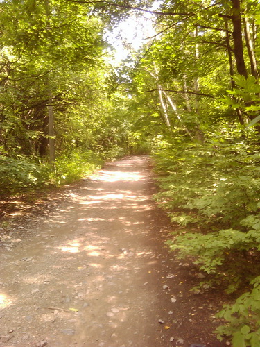 2011-07-10 14.45.19_новый размер.jpg