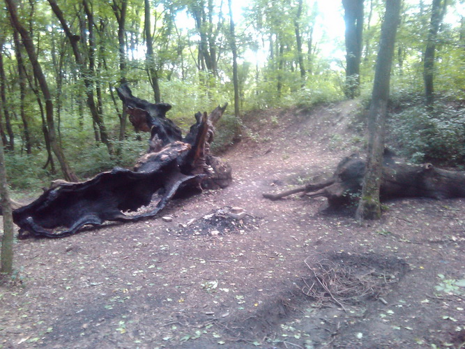 2011-07-10 15.16.17_новый размер.jpg