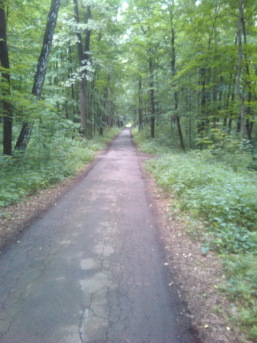 2011-07-10 16.45.28_новый размер.jpg