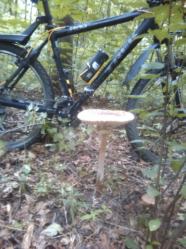 2011-07-10 16.47.23_новый размер.jpg