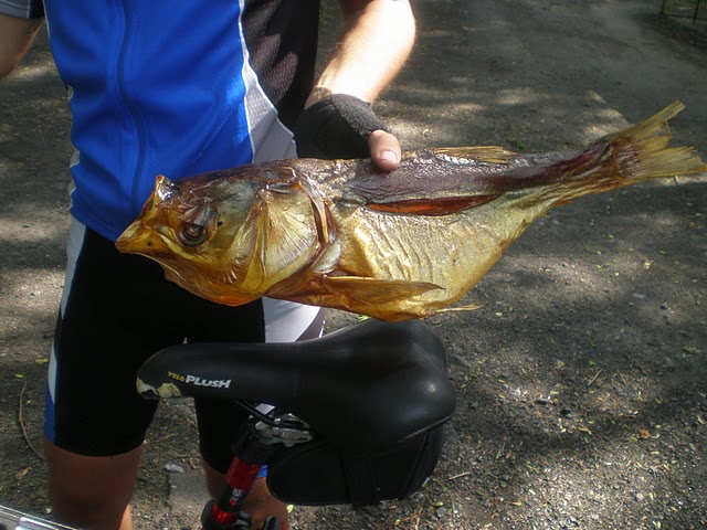 Изображение 068.jpg