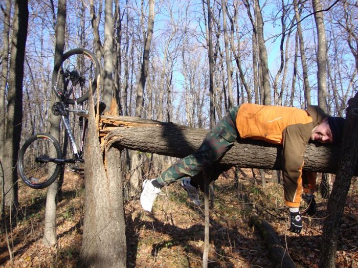 заснул за рулём.jpg