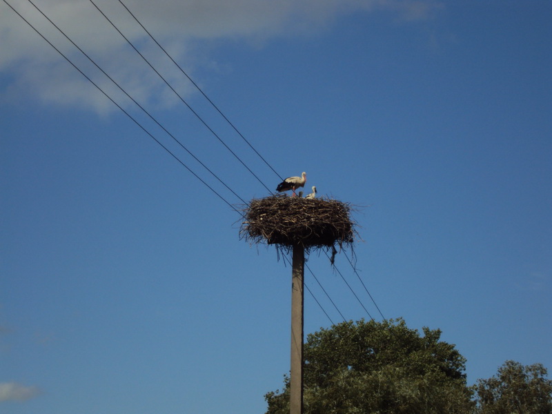 DSC03827_новый размер.JPG