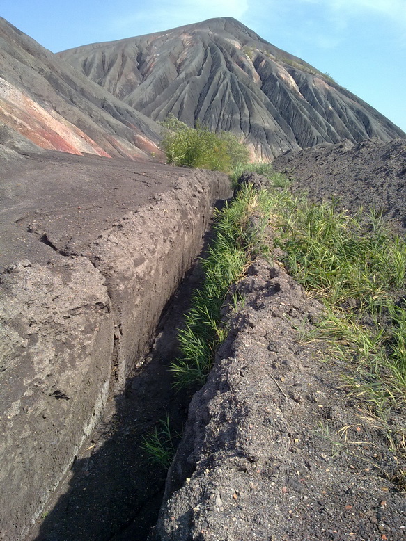 23082012282_новый размер.jpg