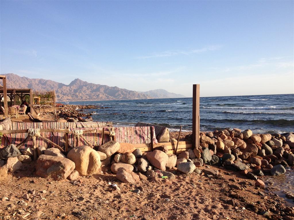 IMG_1592 (Medium).jpg