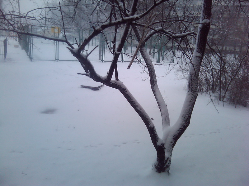 2013-03-22 14.09.12_новый размер.jpg