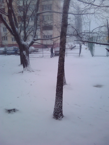 2013-03-22 14.08.18_новый размер.jpg