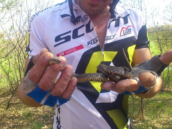 A0IOX2tKrHQ - копия.jpg