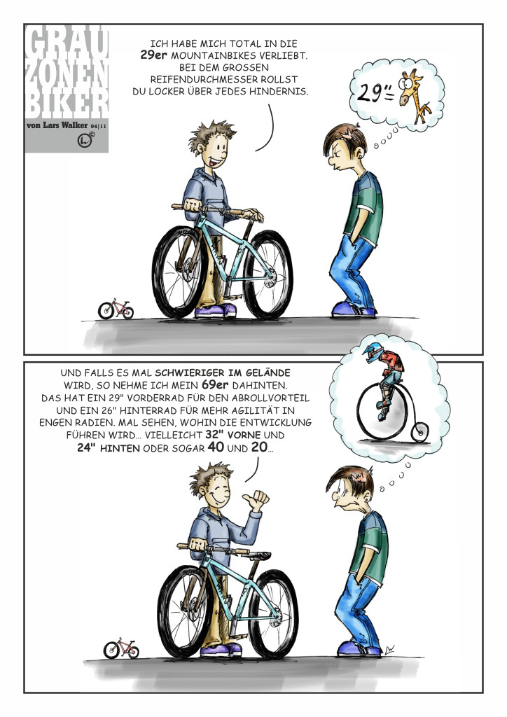 GrauZonenBikerweb29er-69erLW-11_1301902793.jpg