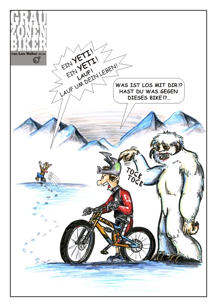 GrauZonenBikerweb_Yeti_LW-10.jpg