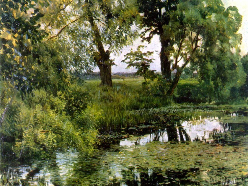 Заросший пруд..jpg