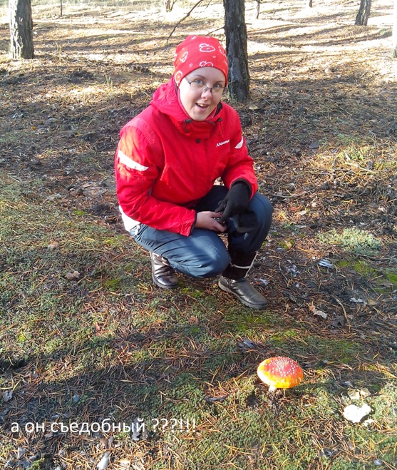 грибочек 1.1.jpg