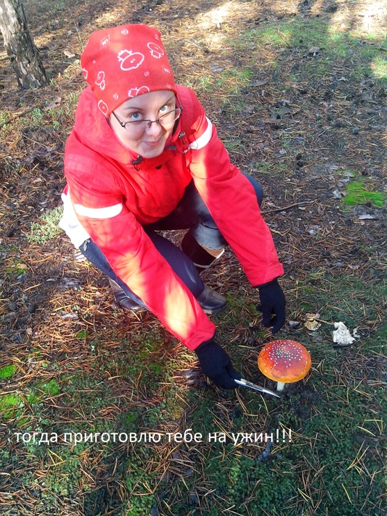 грибочек 2.jpg