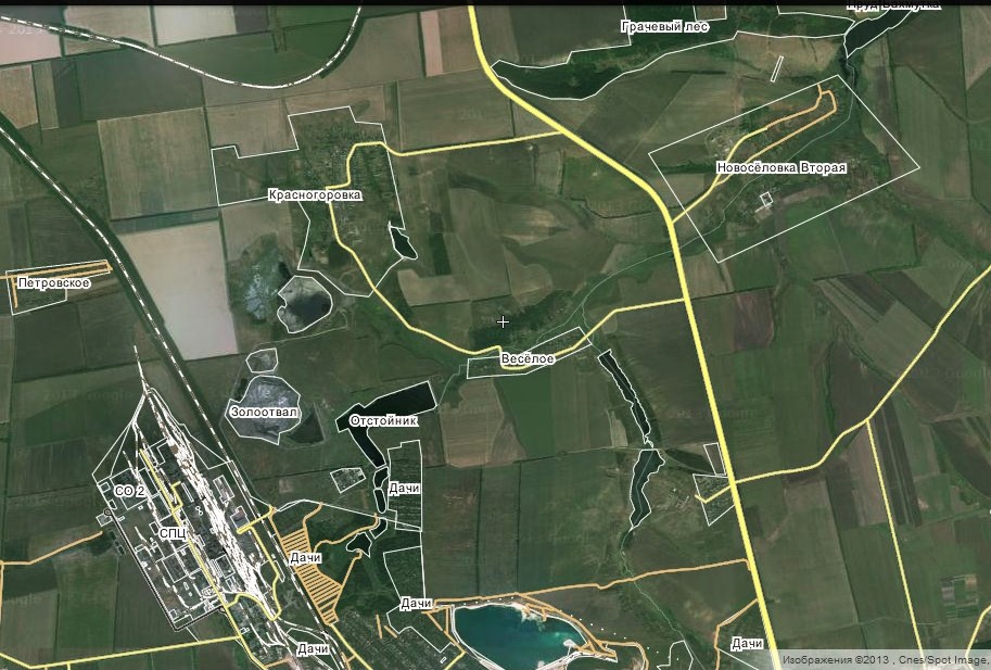 Грачевый лес.jpg