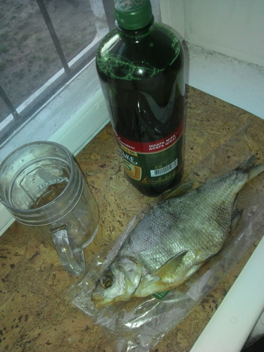 IMG_20140323_175205_новый размер.jpg