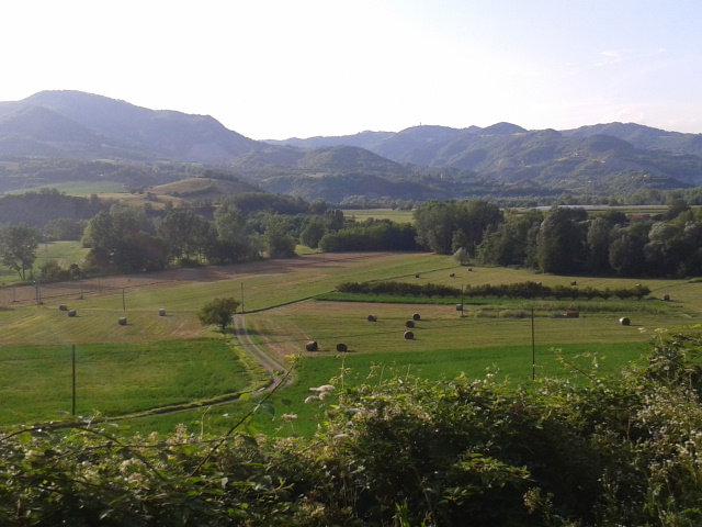 2014-08-06 19.46.00.jpg