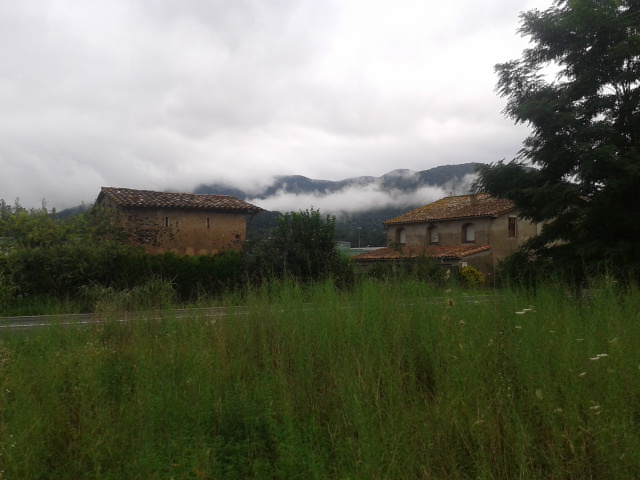 2014-08-13 11.39.05.jpg