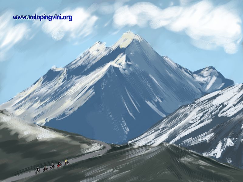 velopingvini.jpg