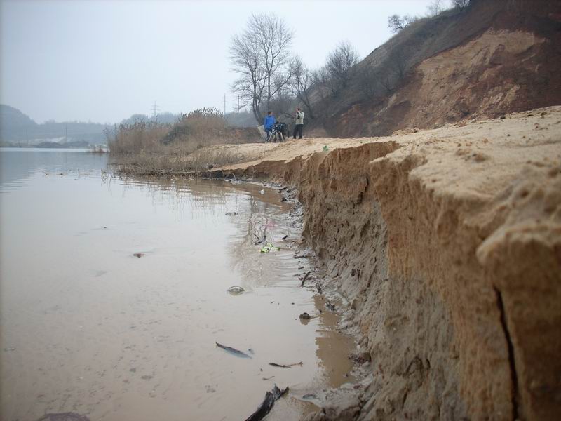 Resize of DSCN0937.JPG