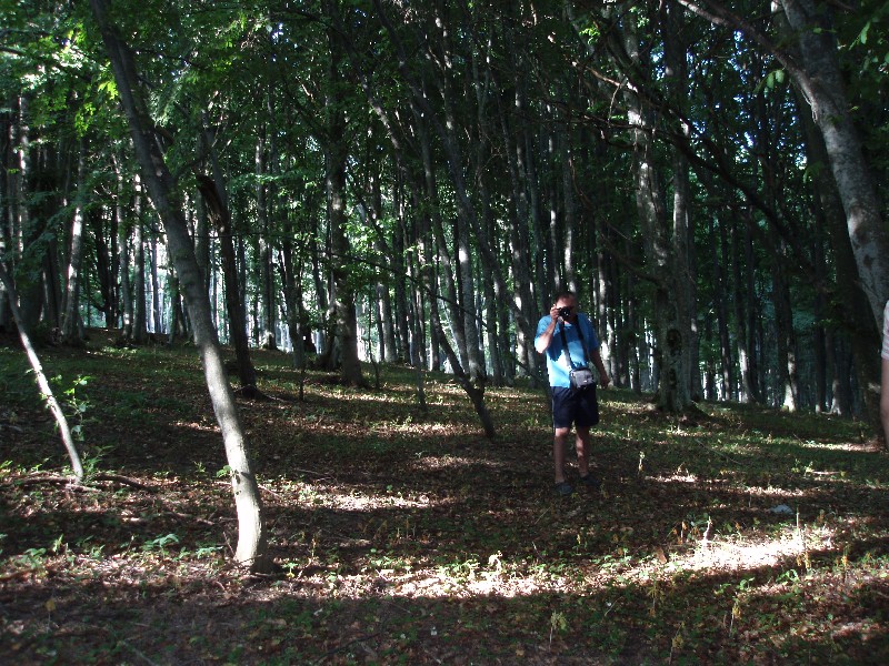 -димерджи-алушта 2009 073.jpg