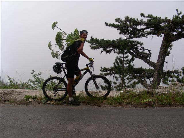 DSCN2481 (Small).JPG