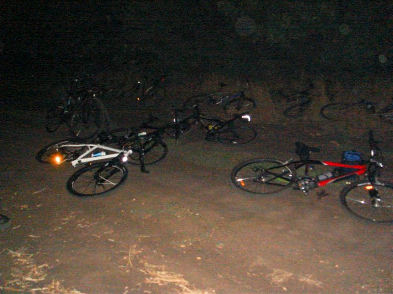 DSC04210 (Средний).jpg